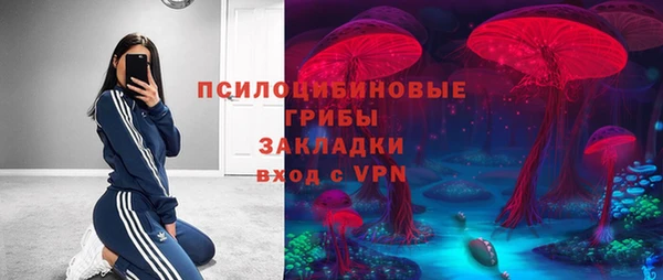 стафф Дмитров