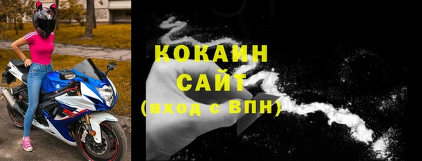 стафф Дмитров