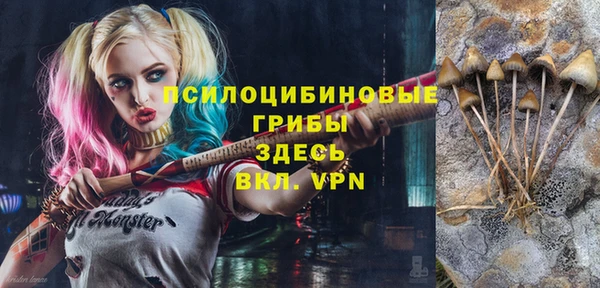 стафф Дмитров