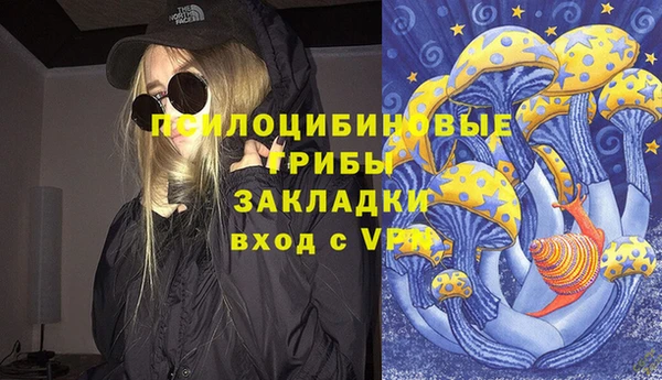 стафф Дмитриев