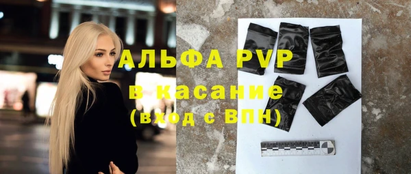 стафф Дмитров
