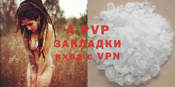 стафф Дмитриев