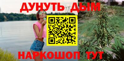 прущие крисы Абакан