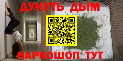 прущие крисы Абакан