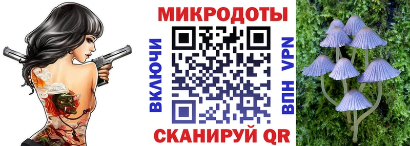 Галлюциногенные грибы Psilocybe  Архангельск 